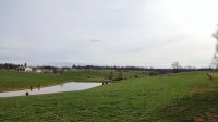 DSC03156.JPG