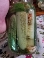 20200802_170535.jpg