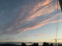 21070AE5-E802-42E8-9A2C-D1E6EDC8A028.jpeg