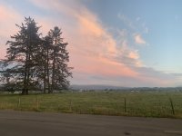 22BA18A6-CA75-4DF2-9D48-67E326C8039A.jpeg