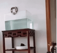 daily_gifdump_3376_06.gif