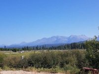 20190805_103631.jpg
