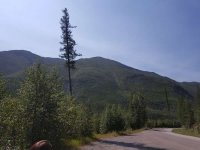 20190805_113724.jpg