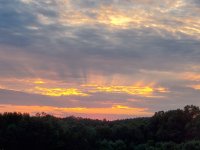 20200807_201054.jpg