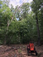 StormDamage - 1.jpeg StormDamage - 1.jpeg