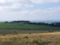 20200808_160624.jpg