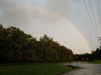 20200810_194240.jpg