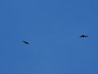 20200628_140533.jpg
