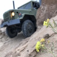 9A8F2E8B-7F5C-4074-90E3-651DD4698CFF.jpeg 9A8F2E8B-7F5C-4074-90E3-651DD4698CFF.jpeg