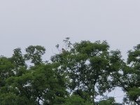 20200628_080053.jpg