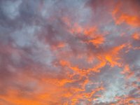 20200812_055141.jpg