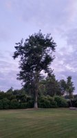 20200813_204431.jpg