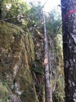 73528D3F-026C-4CA6-AAEC-F0969D6342E3.jpeg