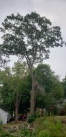 20200815_115926.jpg