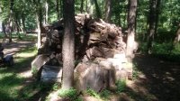 20200814_113651.jpg 20200814_113651.jpg