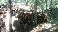 20200814_113730.jpg 20200814_113730.jpg