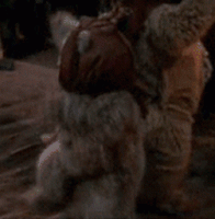1D6561F1-F065-4F7C-B452-3693FF9B378C.gif