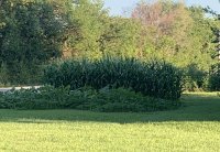 AEB74091-D5D6-4A07-8627-1FE2325AAFC9.jpeg