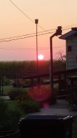 20200825_065144.jpg