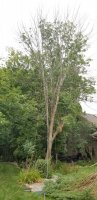 20200825_104547.jpg