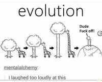 evolution.jpeg