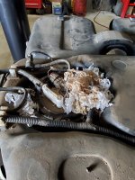 20200826_101703.jpg