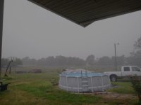 IMG_20200829_095207.jpg