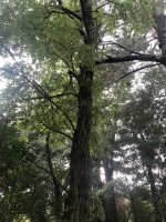 IMG_85431.jpg