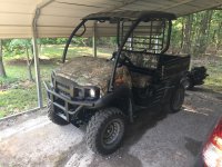 Mule.JPG