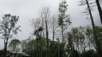 IMG_0144.JPG