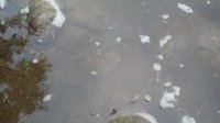 20200901_183246.jpg
