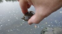 20200901_183221.jpg