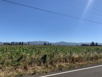03CC89BD-508A-405A-902B-4D0797A6B405.jpeg