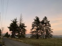 D8C88DB0-21F0-4825-9964-F305D32D1429.jpeg