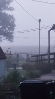 20200902_064523.jpg
