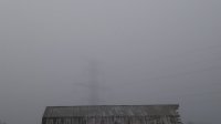 IMG_20200903_074226512.jpg