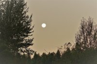 moon.jpg