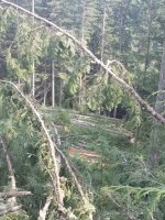 20200904_114958.jpg