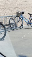 20200904_151626.jpg