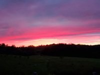20200901_193917.jpg