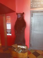 IMG_20200906_131848026.jpg