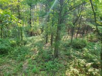 20200906_101640.jpg