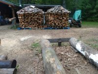 IMG_20200907_170612398.jpg