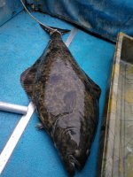 IMG_20200907_143243.jpg