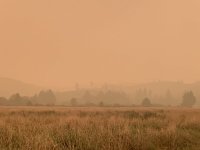 F425D403-7D53-4B4D-9A0F-98E9213D0374.jpeg