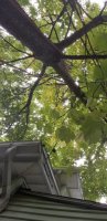 20200909_123221.jpg