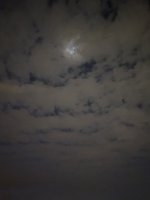 086F8511-2CB2-42AE-859D-8C55E71815F7.jpeg
