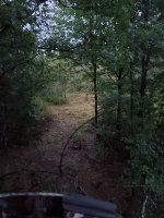 20200913_062030.jpg