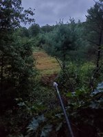 20200913_062059.jpg