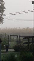 20200915_081351.jpg